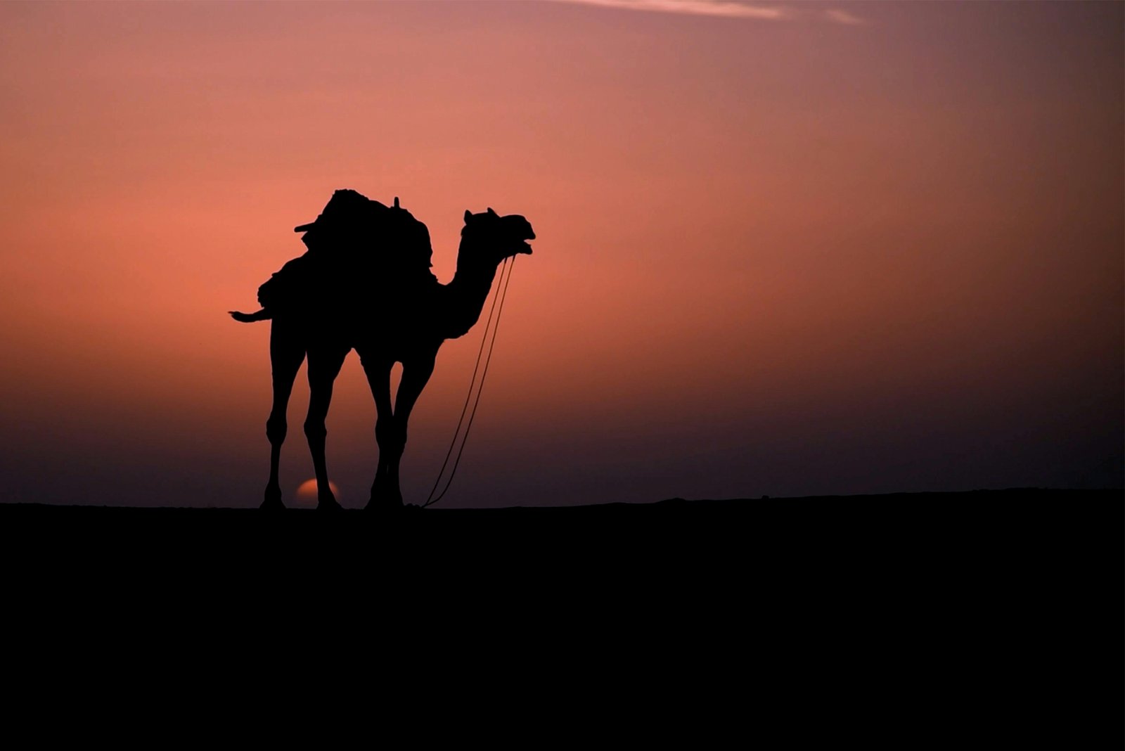 Jaisalmer image